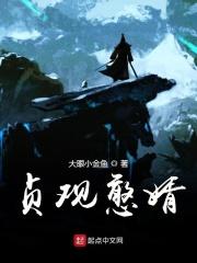 贞观憨婿 贞观憨婿