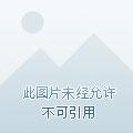 天选打工人,逆袭女老板 天选打工人,逆袭女老板