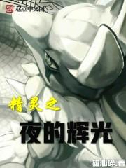 精灵之夜的辉光 精灵之夜的辉光
