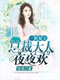 一胎双宝:总裁大人夜夜欢 一胎双宝:总裁大人夜夜欢