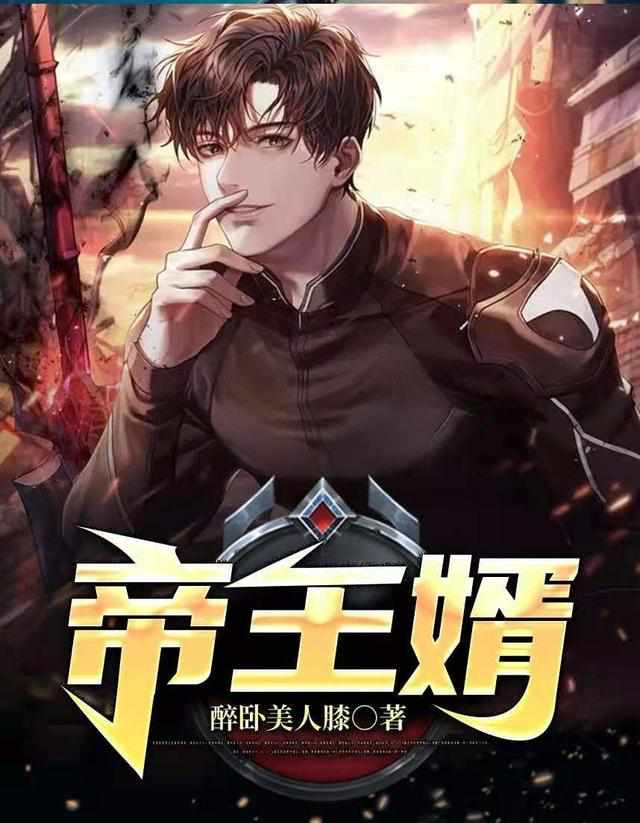 帝王婿 帝王婿