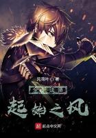 全职法师起始之风 全职法师起始之风