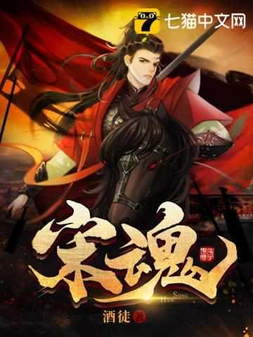宋魂 宋魂