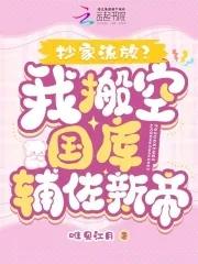 抄家流放?我搬空国库辅佐新帝 抄家流放?我搬空国库辅佐新帝