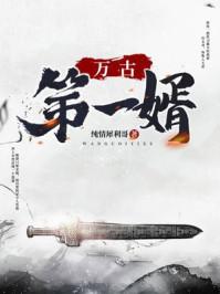 万古第一婿 万古第一婿