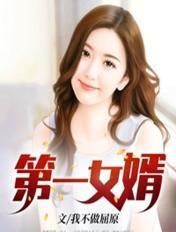 第一女婿 第一女婿