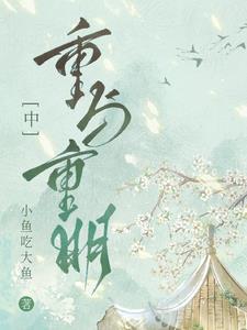 星落凝成糖之重与重明 星落凝成糖之重与重明