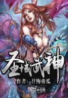 圣域武神 圣域武神