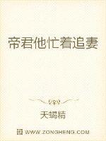 帝君他忙着追妻 帝君他忙着追妻