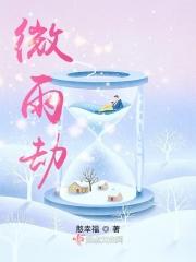 微雨劫 微雨劫