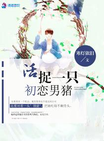 傲妻来空袭 傲妻来空袭
