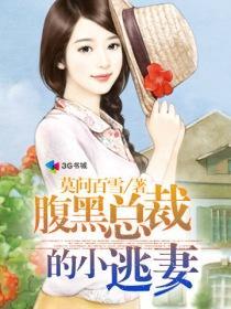 腹黑总裁的小逃妻 腹黑总裁的小逃妻
