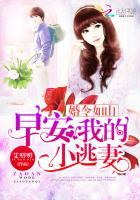 婚令如山:早安,我的小逃妻 婚令如山:早安,我的小逃妻