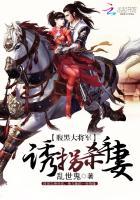 腹黑大将军:诱拐杀手妻 腹黑大将军:诱拐杀手妻