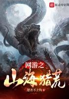 网游之山海猎荒 网游之山海猎荒