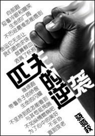 匹夫的逆袭 匹夫的逆袭