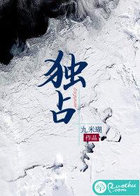 独占 独占