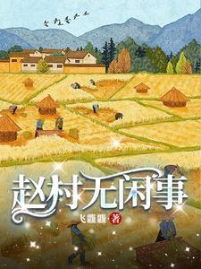 赵村无闲事 赵村无闲事