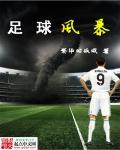 足球风暴 足球风暴