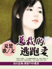 总裁的逃跑妻 总裁的逃跑妻
