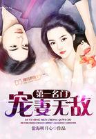 第一名门:宠妻无敌 第一名门:宠妻无敌