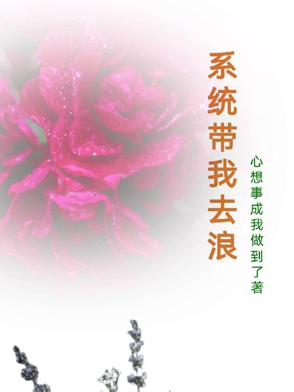 系统带我去浪 系统带我去浪