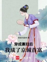 穿成寡妇后,我成了京城首富 穿成寡妇后,我成了京城首富