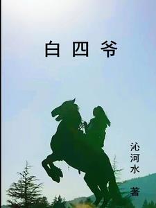 白四爷 白四爷