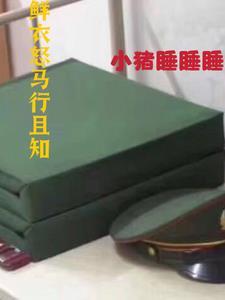 鲜衣怒马行且知 鲜衣怒马行且知
