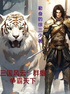 三国风云:群雄争霸天下 三国风云:群雄争霸天下