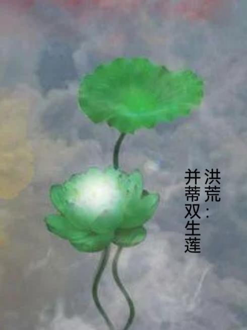 洪荒:并蒂双生莲 洪荒:并蒂双生莲