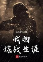 我的谍战生涯 我的谍战生涯