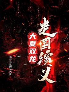 大夏双龙走国演义 大夏双龙走国演义