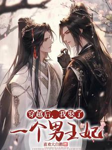 穿越后,我娶了一个男王妃 穿越后,我娶了一个男王妃