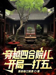 穿越四合院儿,开局一打五 穿越四合院儿,开局一打五