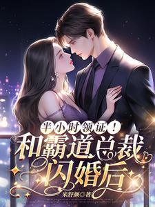 半小时领证!和霸道总裁闪婚后 半小时领证!和霸道总裁闪婚后