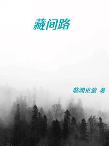 藏间路 藏间路