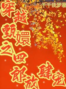 穿越甄嬛之四郎放肆宠 穿越甄嬛之四郎放肆宠