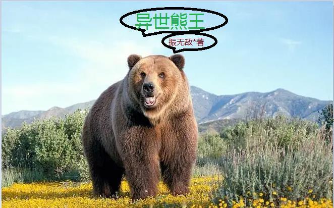 异世熊王 异世熊王