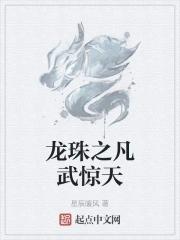 龙珠之凡武惊天 龙珠之凡武惊天