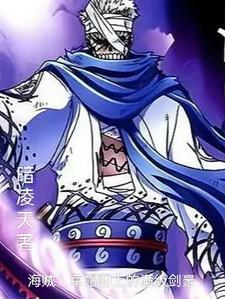 海贼:草帽团上的满级剑豪 海贼:草帽团上的满级剑豪
