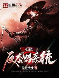 超级反套路系统 超级反套路系统