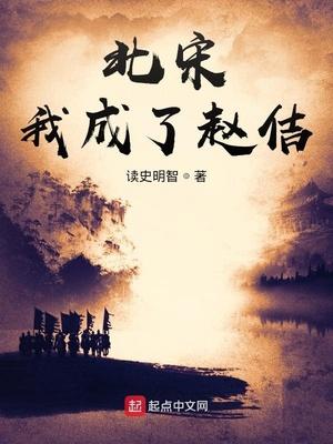 北宋:我成了赵佶 北宋:我成了赵佶