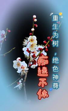 重生为树,绝色神尊痴迷不休 重生为树,绝色神尊痴迷不休