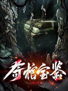 奇棺宝鉴 奇棺宝鉴