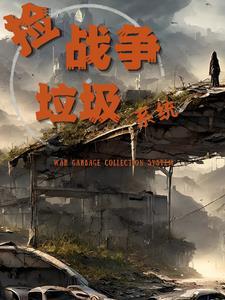 捡战争垃圾系统 捡战争垃圾系统