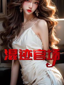 混迹官场 混迹官场