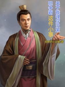 关于我魂穿汉末玩争霸这小事 关于我魂穿汉末玩争霸这小事