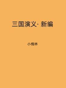 三国演义新编 三国演义新编