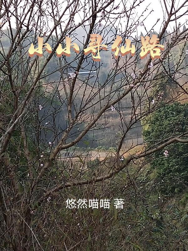 小小寻仙路 小小寻仙路